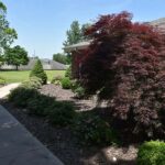 19-Flat-Accessible-Outdoor-Walking-Path